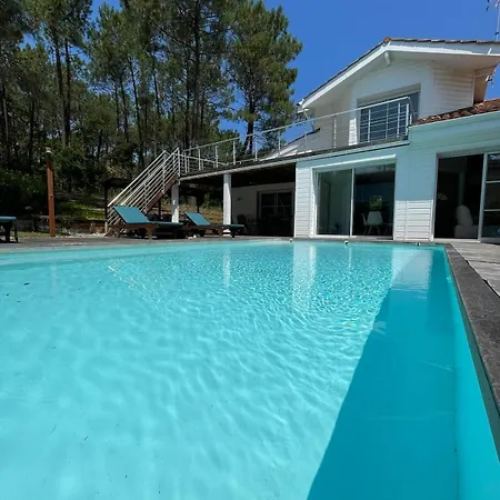 820 - Renovated, Pool, & Golf Within Walking Distance *